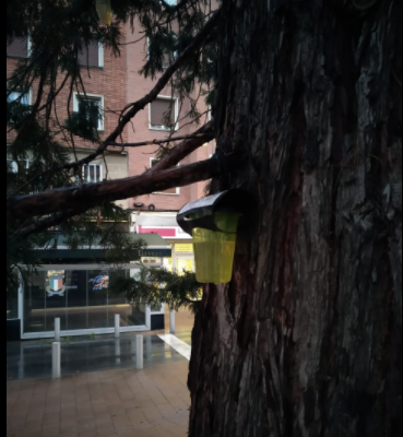 Noticia-2-369x400 Noticias