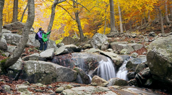 iStock-143920975-720x400 Noticias