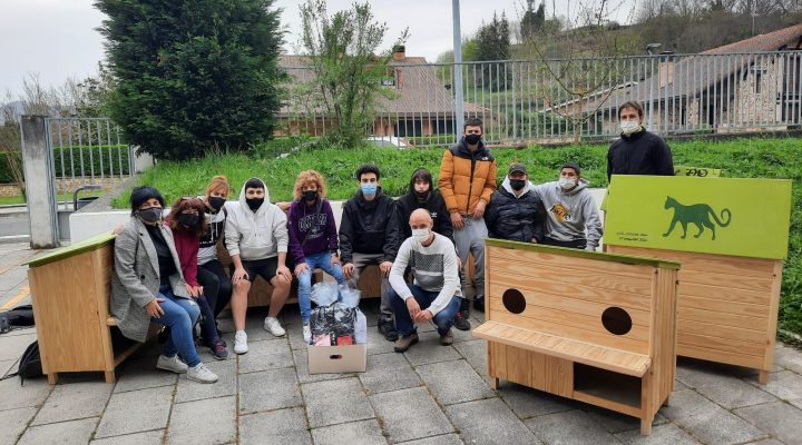 68fd1899-8b18-47a3-b754-3e6019839c7d-1-720x400 Noticias