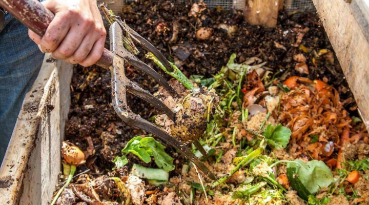 konposta-720x400 Noticias