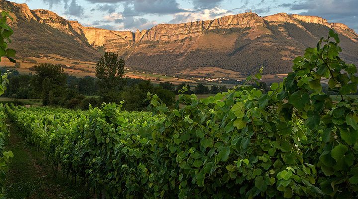 RutaDelTxakoli_AiaraldeaTurismo-720x400 Noticias