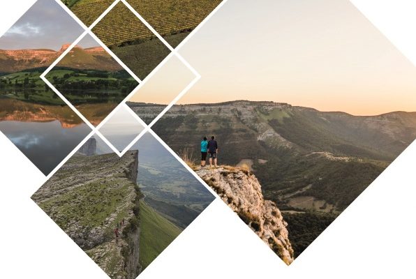 campana_cas1-596x400 Noticias