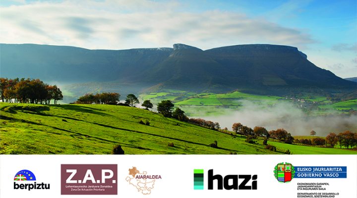 caecera_formulario_aiara_web-720x400 Noticias