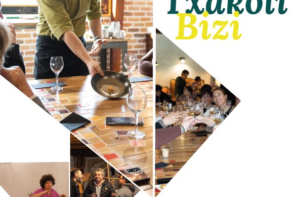 cartel-TXAKOLI-Bizi-595x400 Noticias