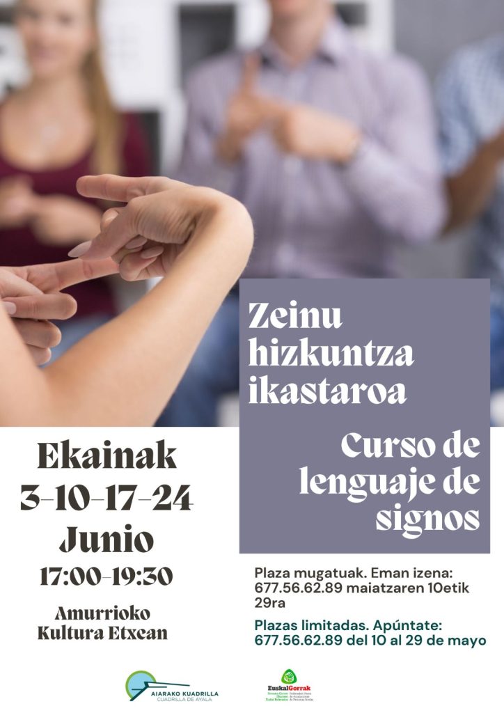 cursolenguajesignos-724x1024 La Cuadrilla de Aiaraldea ofrece un curso de lengua de signos para toda la comarca