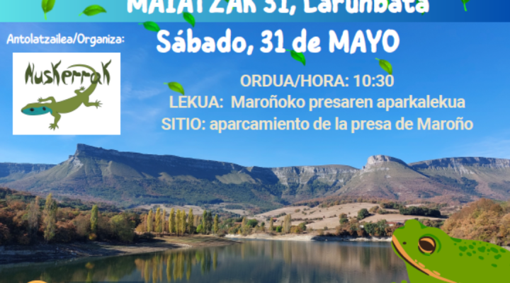 FORMATO-SIN-LOGOS-50-720x400 Noticias