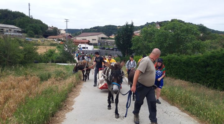 image001-720x400 Noticias