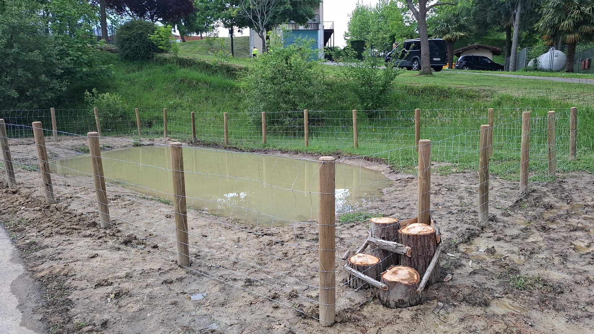 WhatsApp-Image-2025-05-14-at-13.56.36-2 Aiaraldeko Kuadrillak anfibioak kontserbatzeko eta ingurumen-hezkuntza sustatzeko putzuak sortzea bultzatzen du.