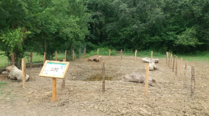 WhatsApp-Image-2025-07-02-at-20.38.44-1-720x400 Noticias