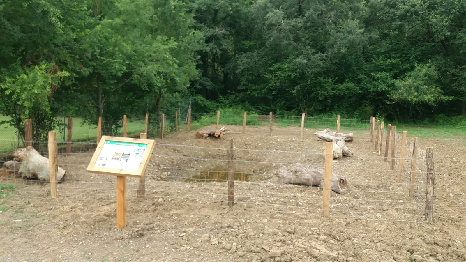 WhatsApp-Image-2025-07-02-at-20.38.44-1 Aiaraldeko Kuadrillak anfibioak kontserbatzeko eta ingurumen-hezkuntza sustatzeko putzuak sortzea bultzatzen du.