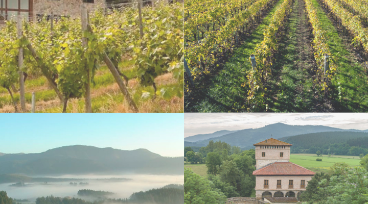 Diseno-sin-titulo-2-1-720x400 Albisteak