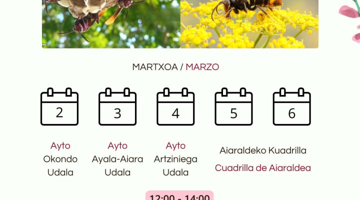 Liztor-Asiarra-5-720x400 Albisteak