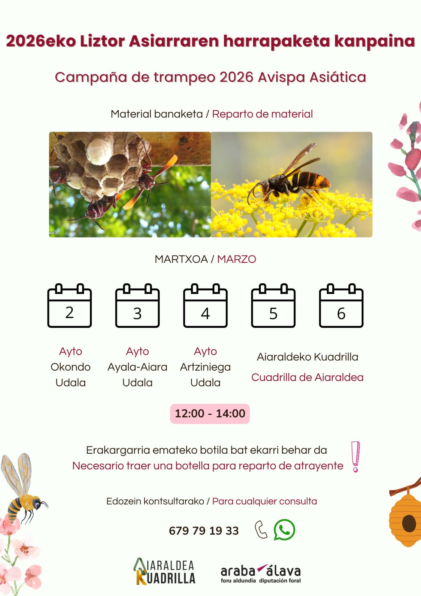 Liztor-Asiarra-5-scaled Aiaraldeko Kuadrillak liztor asiarraren aurkako tranpa-kanpaina berri bat abiatu du Arabako Foru Aldundiarekin elkarlanean